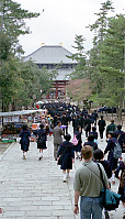 Sea of Students