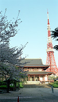 Temple at the end of the Road