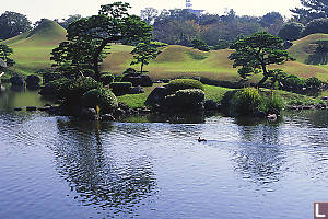 Garden And Pond