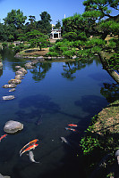 Pond In Park