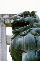 Lion In Front Of Gate