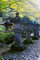 Lanterns Under Yellow Tree