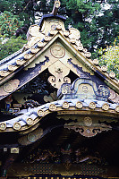 Ornate Roof