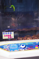 Crab Vending Machine