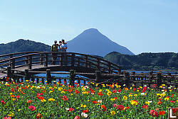 Lakeside View Of Kaimon-dake