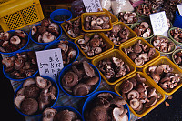 Mushrooms In Baskets