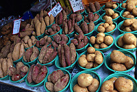 Root Vegetables In Baskets