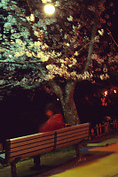 Women Alone On Bench