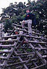 Eric And Mark On Climbing Timbers