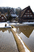 Houses And Stepped Field