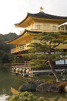 Golden Pavilion From Side