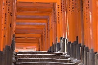 Stairs Lit By Sun