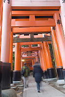 Walking Into Torii Tunnel