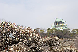 White Blossoms And Castle With Wall
