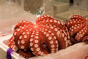 Ball Of Octopus