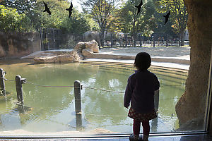 Claira Standing To Watch Elephant