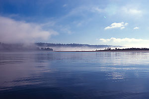 Foggy Morning At Sydney Spit