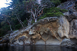 Large Sandstone Outcropping