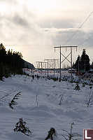 View Of Power Lines