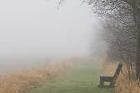 Dyke Side Walk In The Fog
