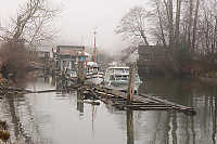 Finn Slough Near Mouth