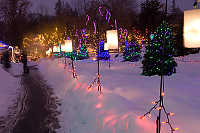 Long Line Of Lanterns