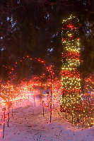 Red And White Wrapped Tree