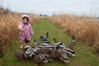 Nara Feeding The Ducks