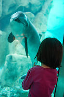 Nara And Porpoise Trading Stares