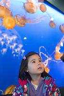 Nara With Jellyfish Background