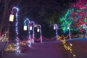 Candycane Style Light Stands