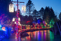 Lit Up Lake Front