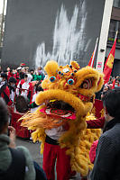 Lion In Crowd