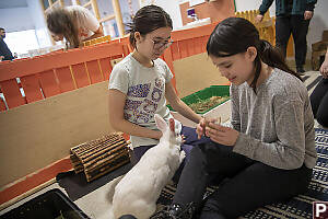 Nara And Claira With White Rabbit