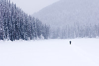 Mark On Lake