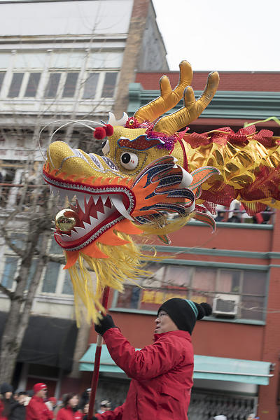 Dragon Head