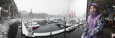 Nara With Snow On Marina