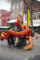Dragon Spiraled Up
