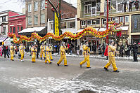 Dragon Walking By