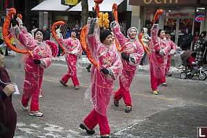 Pink Year Of The Snake