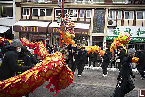 Two Dragons Close Together