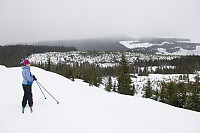 Looking Over Snow Covered Logged Valley