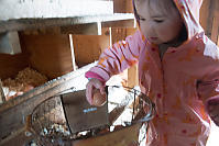 Nara Putting Egg In Basket