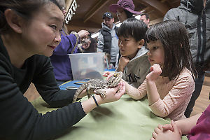 Claira Touching Bearded Dragon