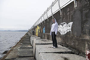 Cool Kid Nara On Breakwater