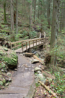 Wooden Bridge