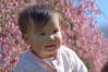 Nara WIth Cherry Blossoms