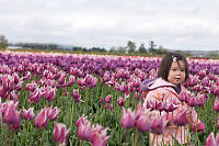 Nara In The Purple Tulips