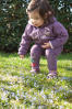 Naras With Blue Flowers