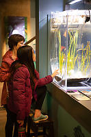 Claira Looking At Pipefish